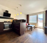 A kitchen connected to the living room in a studio apartment with a wooden decor floor.