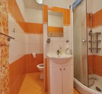 A bathroom in a one-room apartment with orange and white tiles and a shower corner.