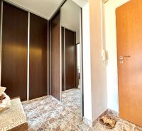A hallway in a one-room apartment with a large mirrored wardrobe and decorative tiles.