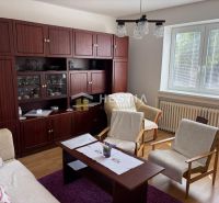 Living room with wood-patterned flooring, wooden living room furniture, and a large window in a family house.