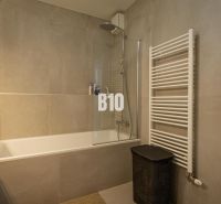 Bathroom in a 3-room apartment with a bathtub, shower, and ladder radiator.