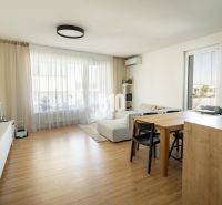 Living room in a 3-room apartment with a wooden decor floor and light curtains.