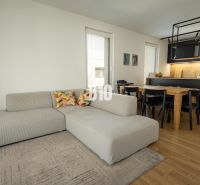 Living room with kitchen, light sofa, dining table, wooden decor flooring.