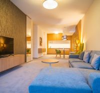 A recreational apartment with a wood-patterned floor, a comfortable sofa, and a television.