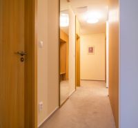 Hallway in a Holiday Apartment with lighting, a mirror, and wooden doors.
