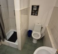 Bathroom with a shower in a studio apartment with a toilet and tiles.