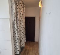 A narrow hallway with a wooden decor floor and a patterned curtain in a studio apartment.