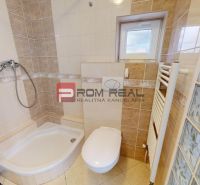 Bathroom in a studio apartment with tiles, a shower corner, and a radiator.