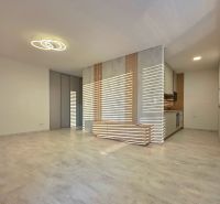 Living room with wood-patterned flooring and modern lighting in a two-room apartment.