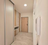 Entrance hallway in a 2-room apartment with storage spaces and light flooring.