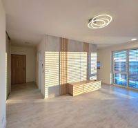A bright living room with wood-patterned flooring and modern lighting in a two-room apartment.