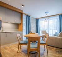 Recreational apartment with wood-decor flooring, kitchenette, dining table, and living area.