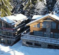 Snow-covered chalets in Demänovská Dolina, ideal for recreational purposes in a quiet environment.