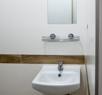 A bathroom in a studio apartment with a sink, mirror, and shelf for small items.