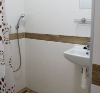 A bathroom in a studio apartment with a wood-patterned floor and a shower corner.