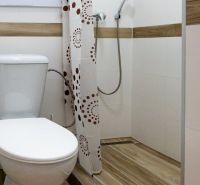 A studio apartment bathroom with a toilet, shower, and wooden decor flooring.