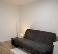 Studio apartment with a carpeted sofa and a wooden decor floor.