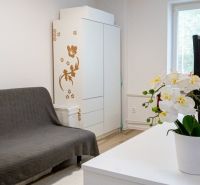 A studio apartment with a sofa bed, a white wardrobe, and flowers on a wooden floor decor.