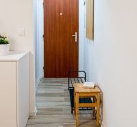 Studio apartment with wood-patterned flooring, a coat rack, and a wooden chair at the entrance.