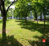 Greenery and trees in the park on Herlianska Street in Bratislava-Ružinov.
