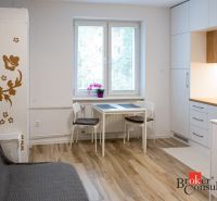 Compact studio apartment with wood-patterned flooring, a dining table, and a kitchenette.