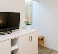 A cabinet with a television, a floor with a wooden decor, and a wall-mounted hanger in a studio apartment.