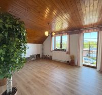 Interior of a family house with a wooden decor floor, a large plant, and decorations.