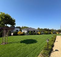 The garden of a family house in Trenčianska Turná, lawn, walkway, and decorative trees.