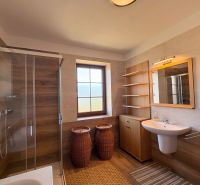 A bathroom in a family house with a wooden decor floor, a shower corner, and a sink.