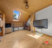 Attic living room with wooden floor decor and a skylight in a family house.
