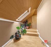 Attic hallway with plants and wooden decor flooring in a family house.