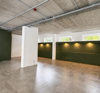 Commercial spaces with light brown flooring and dark green walls.