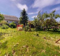 The garden at the family house on Štefánikova Street in Skalica with lush greenery.