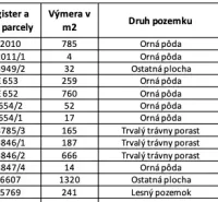 Table with a list of land ownerships including area, parcels, and shares.