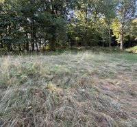 Grass and trees on the plots - living in Králiky.