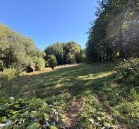 Greenery and forest area in Králiky suitable for Residential Land.