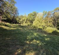 Green meadow with forest and blue sky in Králiky, residential plots.