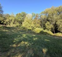 A grassy plot in Králiky, surrounded by forest. Suitable for residential land.