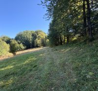 A green meadow around Králiky, surrounded by trees, ideal for residential plots.