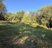 A grassy area surrounded by trees in the Králiky location suitable for plots - housing.