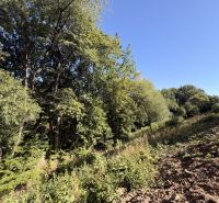 View of wooded plots - living in Králiky with sloping terrain.