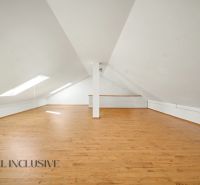 Attic space with a wooden decor floor and skylights. Plots - housing.