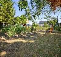 A garden in Pezinok with fruit trees and vegetables, suitable for residential land.