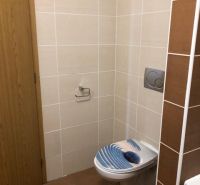 Bathroom with toilet in a 2-room apartment, tiles and a toilet bowl with a colored seat.