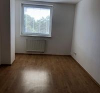 A room in a 2-room apartment with a wood-patterned floor and a window with a view.