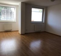 A spacious room in a 2-room apartment with a wooden decor floor.