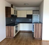 A kitchen with dark wood decor and appliances in a 2-room apartment.
