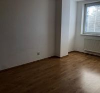 Empty room with wood-patterned flooring and a large window in a two-room apartment.