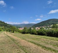 The landscape in Nesluša with plots suitable for living, surrounded by nature and houses.