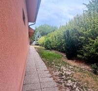 A garden next to the cottage in Komárno with a path and greenery.